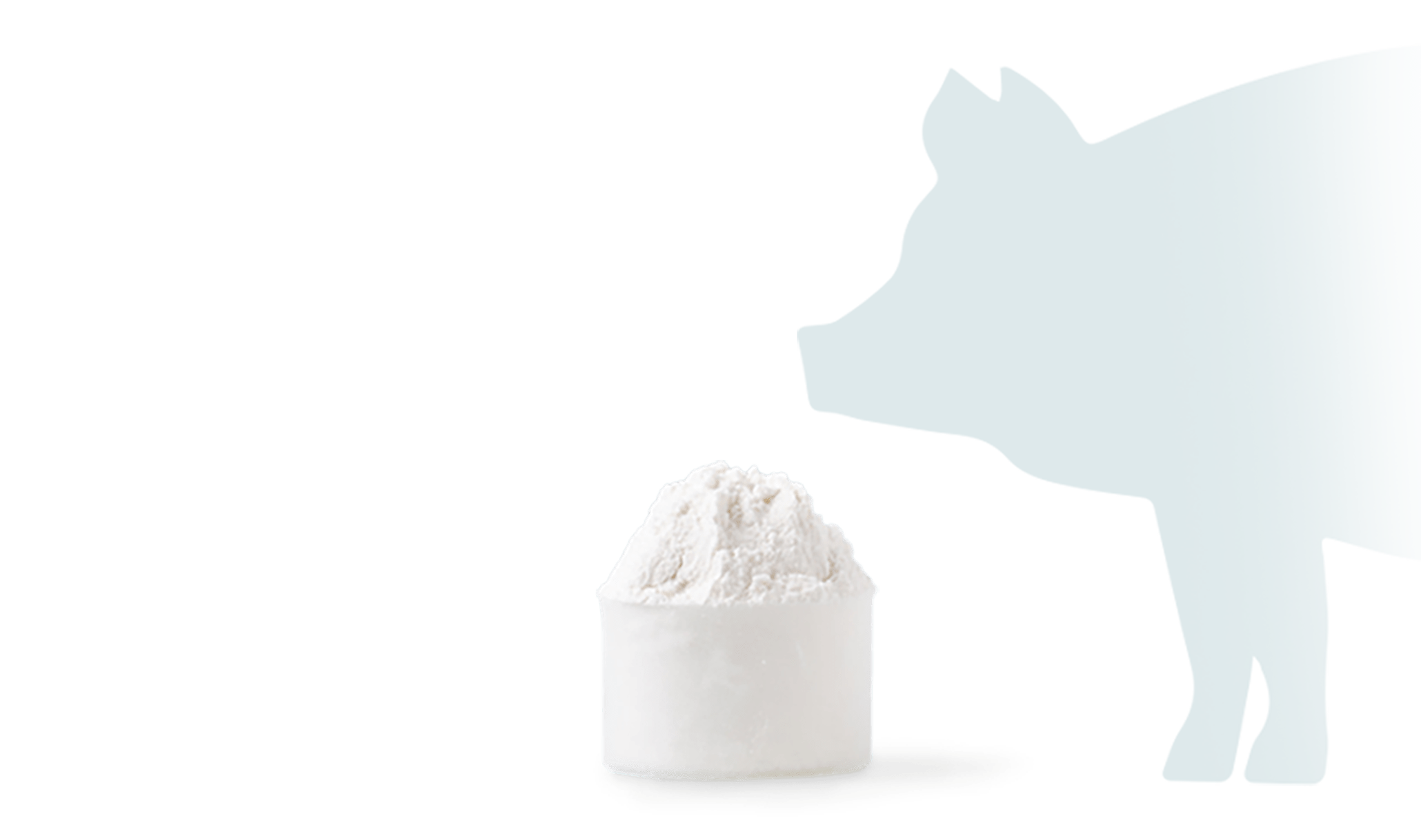 Veterinary Powders and Premixes