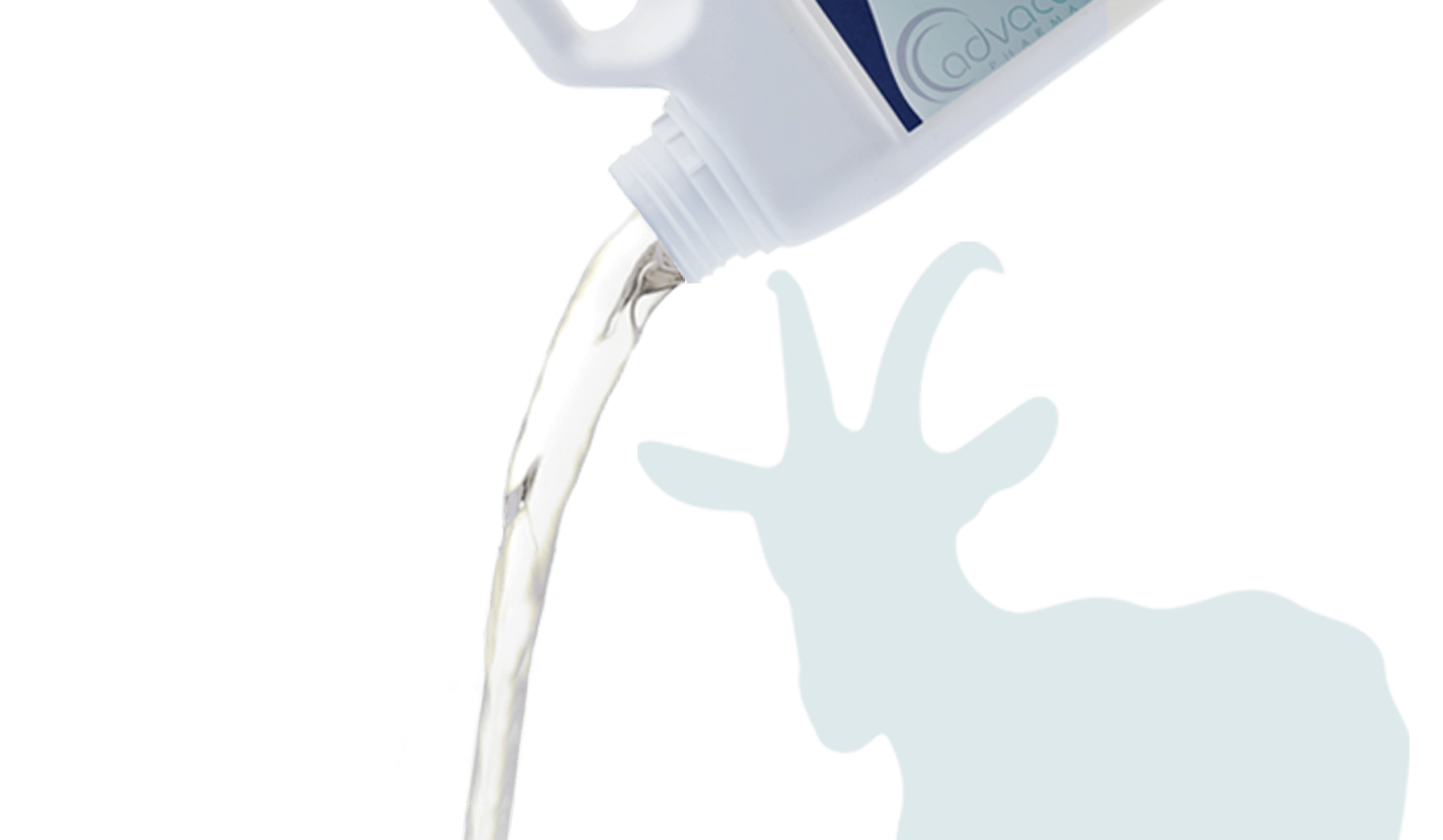 Veterinary Solutions and Suspensions