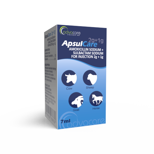 Amoxicillin Sodium + Sulbactam Sodium for Injection (box of 1 vial)