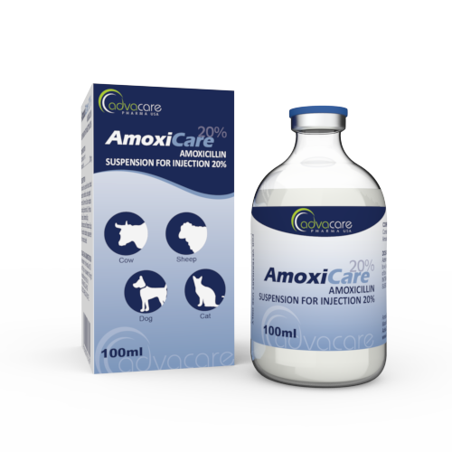 Amoxicillin Suspension for Injection (1 box and 1 vial)