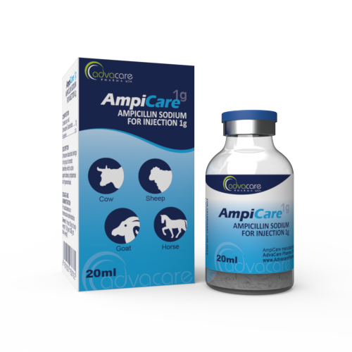 Ampicilina Sódica para Inyección (1 caja y 1 frasco)