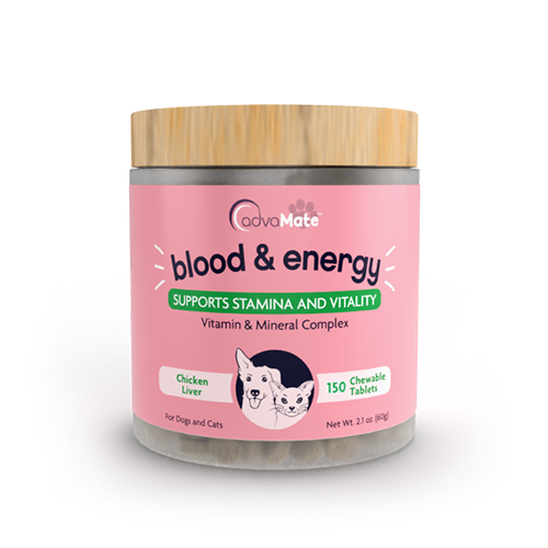 Blood & Energy Chewable Tablets (1 bottle)