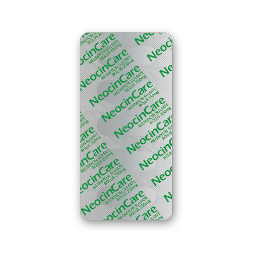 Bolus de Sulfate de Néomycine (ampoule de 5 bolus)