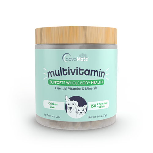 Comprimés Masticables Multivitamines (1 bouteille)