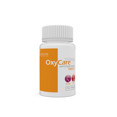 Comprimés d'Oxytétracycline (bouteille de 100 comprimés)