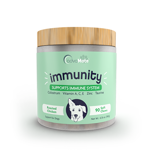 Suppléments À Mâcher Doux pour l'Immunité (1 bouteille)