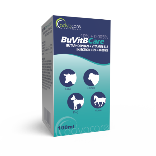 Inyección de Butafosfano + Vitamina B12 (caja de 1 vial)