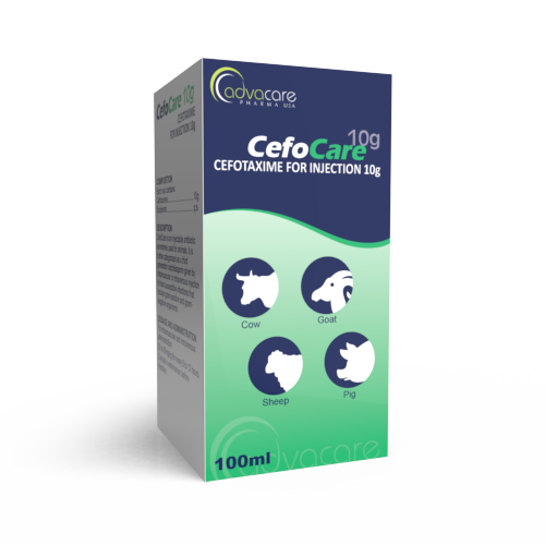 Cefotaxime pour Injection (boîte de 1 flacon)