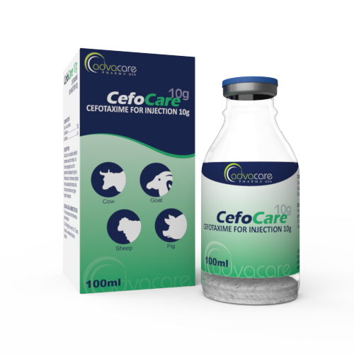 Cefotaxime pour Injection (1 boîte et 1 flacon)