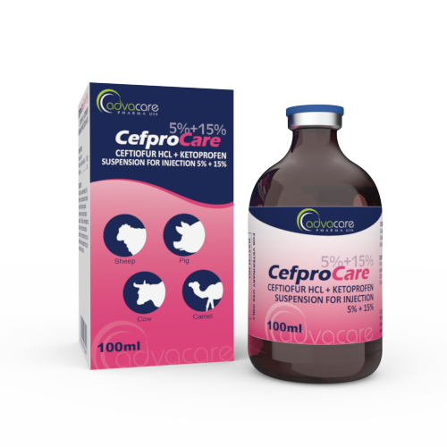 Ceftiofur HCl + Ketoprofen Suspension (1 box and 1 vial)