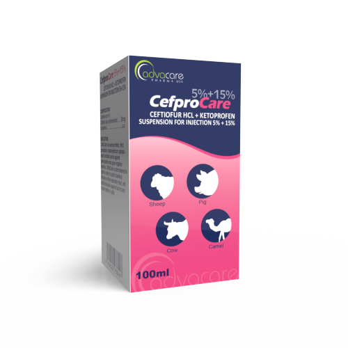 Ceftiofur HCl + Ketoprofen Suspension (box of 1 vial)