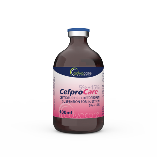 Ceftiofur HCl + Ketoprofen Suspension (1 vial)