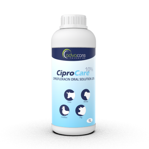 Solución Oral de Ciprofloxacino (1 botella)