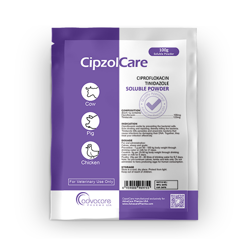 Poudre Soluble de Ciprofloxacine + Tinidazole (1 sac)