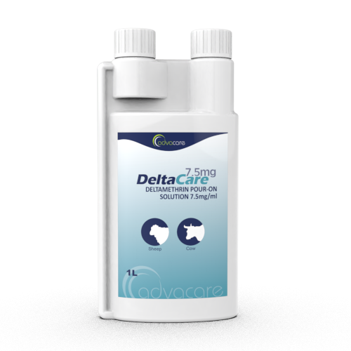 Solution Pour-On de Deltaméthrine (1 bouteille)