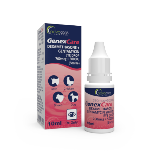 Gouttes Ophtalmiques de Dexaméthasone + Gentamicine (1 boîte et 1 bouteille)