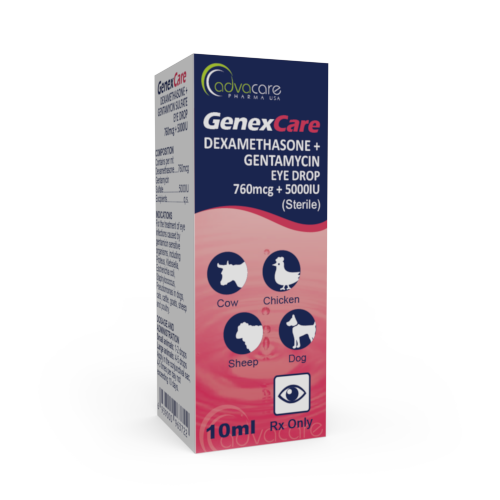 Gouttes Ophtalmiques de Dexaméthasone + Gentamicine (boîte de 1 bouteille)
