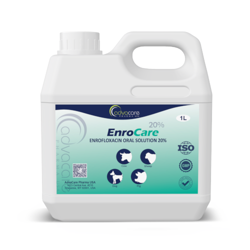Enrofloxacin Oral Solution (1 bottle)