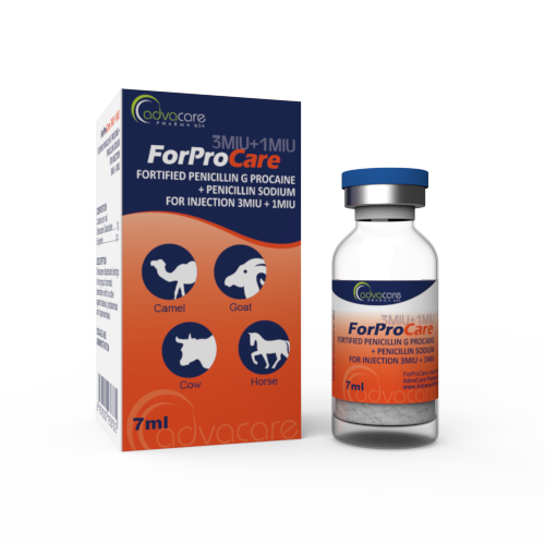 Fortified Penicillin G Procaine + Penicillin Sodium for Injection (1 box and 1 vial)