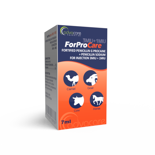 Fortified Penicillin G Procaine + Penicillin Sodium for Injection (box of 1 vial)