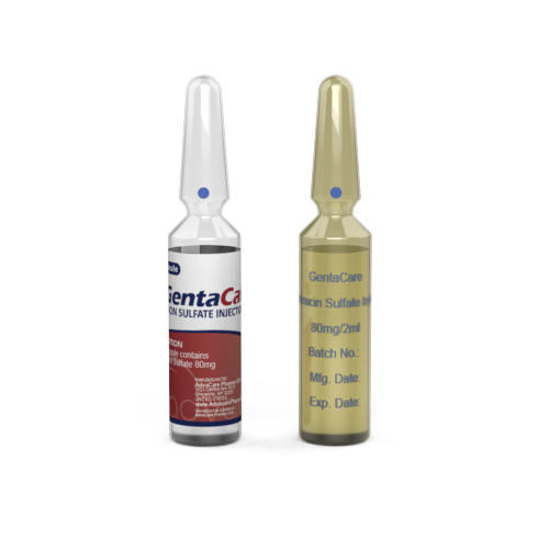 Gentamicin Injection (1 ampoule ceramic printing and 1 ampoule labelling)