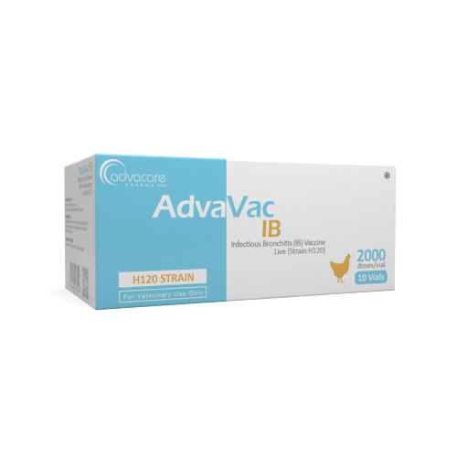 Infectious Bronchitis (IB) Vaccine (box of 10 vials)