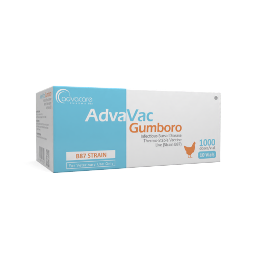 Infectious Bursal Disease (IBD) (Gumboro Disease) Vaccine (box of 10 vials)