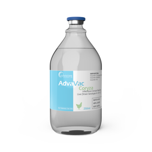 Infectious Coryza Vaccine (1 vial)