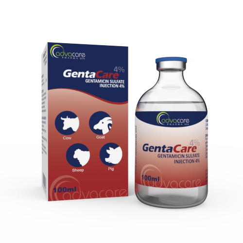 Injection de Sulfate de Gentamicine (1 boîte et 1 flacon)
