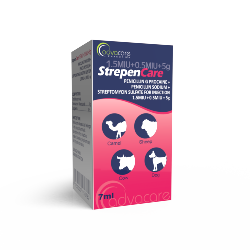 Pénicilline G Procaïne + Pénicilline Sodique + Sulfate de Streptomycine pour Injection (boîte de 1 flacon)