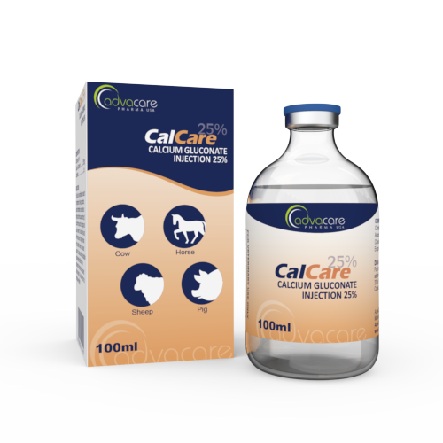 Injection de Gluconate de Calcium (1 boîte et 1 flacon)