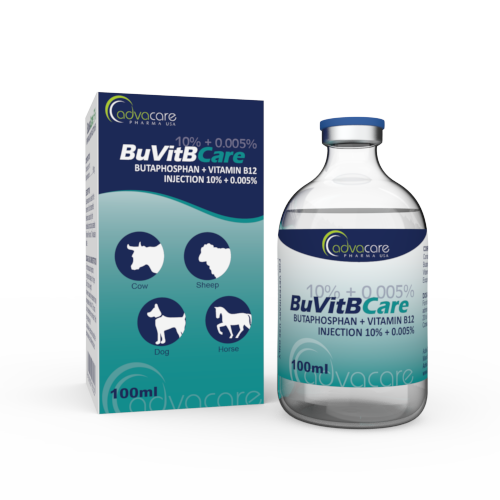 Inyección de Butafosfano + Vitamina B12 (1 caja y 1 frasco)