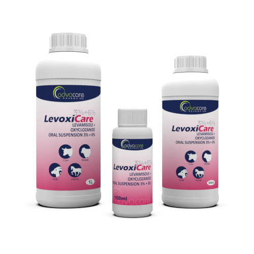 Levamisole HCl + Oxyclozanide Oral Suspension (100ml bottle, 500ml bottle and 1L bottle)
