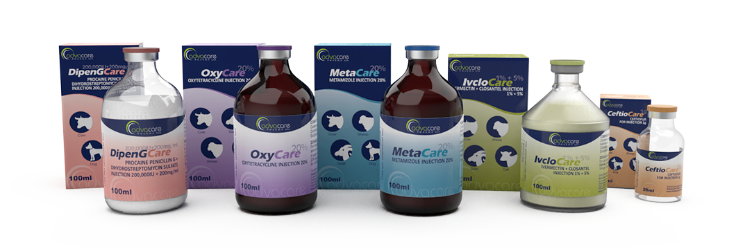 Injections vétérinaires pour animaux d'élevage en grandes bouteilles.