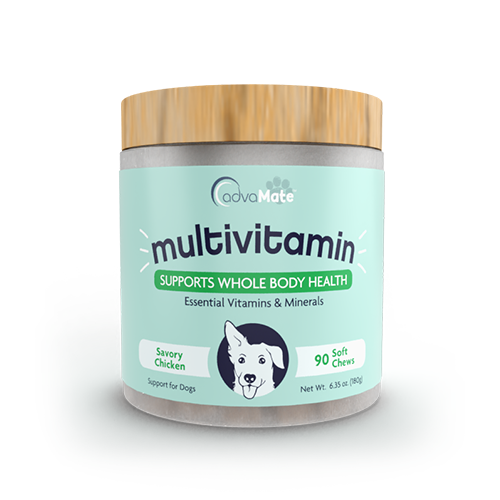 Multivitamin Soft Chews (1 bottle)