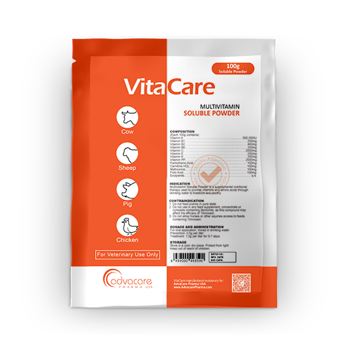 Multivitamin Soluble Powder (1 bag)