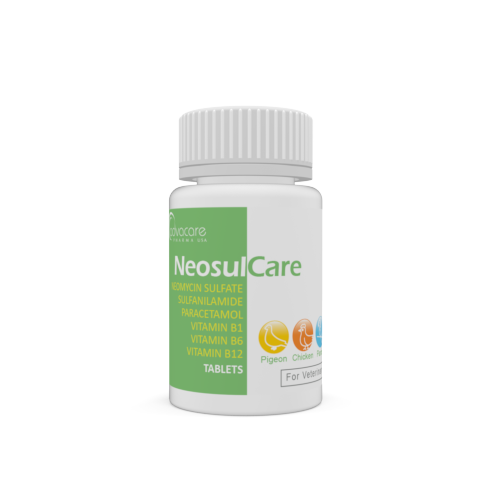 Neomycin Sulfate + Sulfanilamide + Paracetamol + Vitamin B1 + Vitamin B6 + Vitamin B12 Tablets (bottle of 100 tablets)