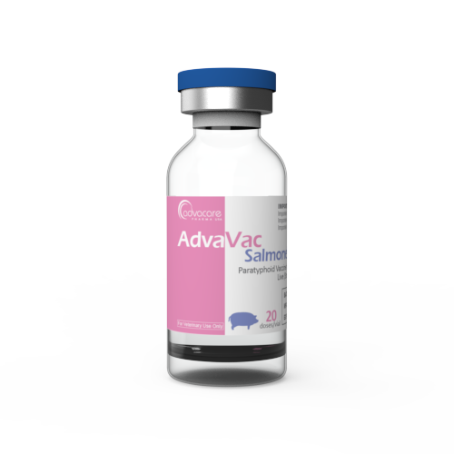 Paratyphoid Vaccine for Piglets (1 vial)
