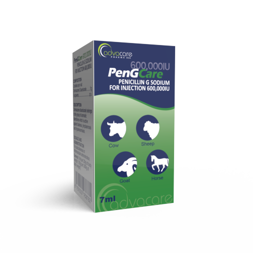 Pénicilline G Sodique pour Injection (boîte de 1 flacon)