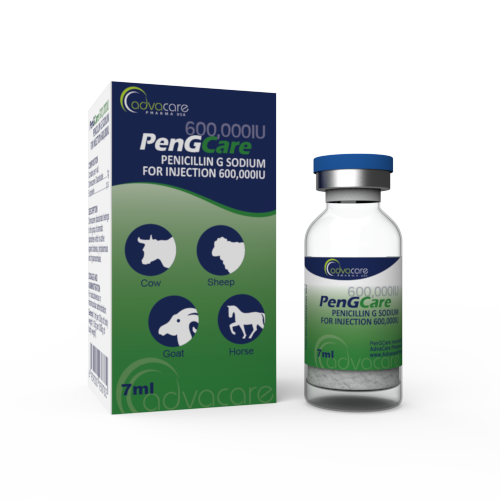 Pénicilline G Sodique pour Injection (1 boîte et 1 flacon)