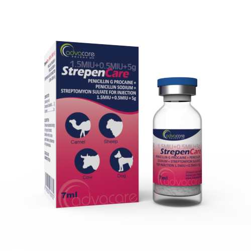 Pénicilline G Procaïne + Pénicilline Sodique + Sulfate de Streptomycine pour Injection (1 boîte et 1 flacon)