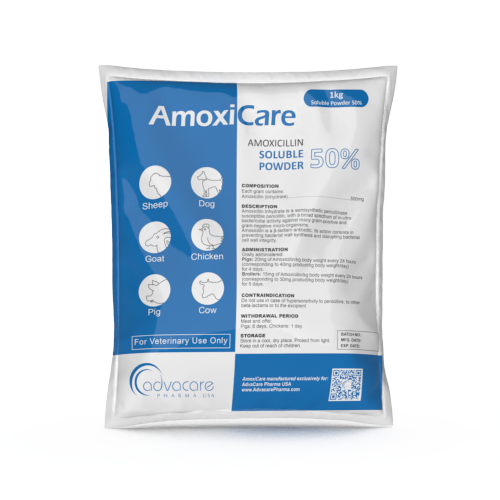 Poudre Soluble d'Amoxicilline (1 sac)