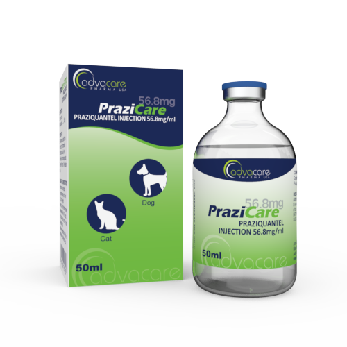 Praziquantel Injection (1 box and 1 vial)