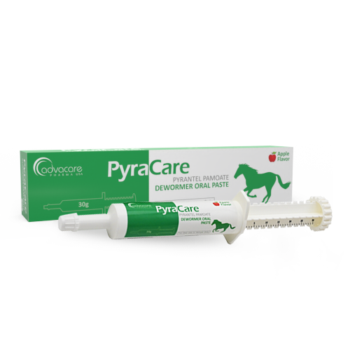 Pyrantel Pamoate Oral Paste (1 box and 1 syringe)