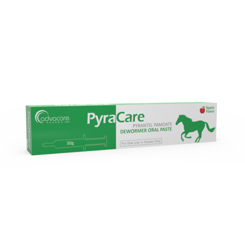 Pyrantel Pamoate Oral Paste (box of 1 syringe)