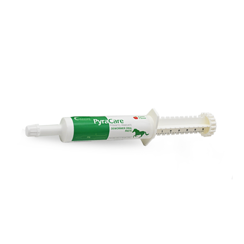 Pyrantel Pamoate Oral Paste (1 syringe)