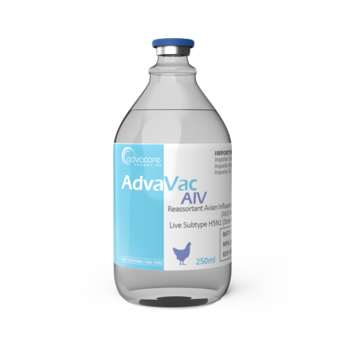 Reassortant Avian Influenza Virus (AIV) Vaccine (1 vial)