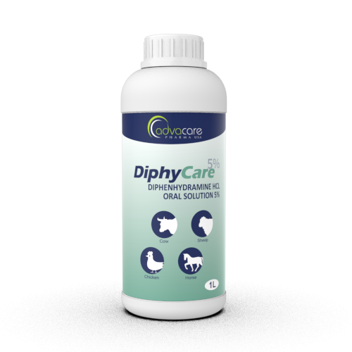 Solución Oral de Difenhidramina (1 botella)