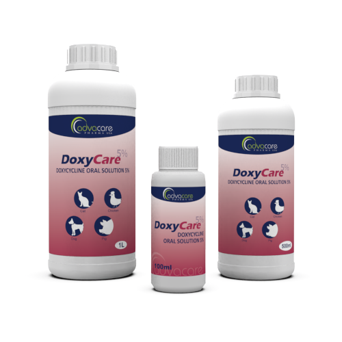 Solución Oral de Doxiciclina (100ml botella, 500botella de ml y 1botella de L)