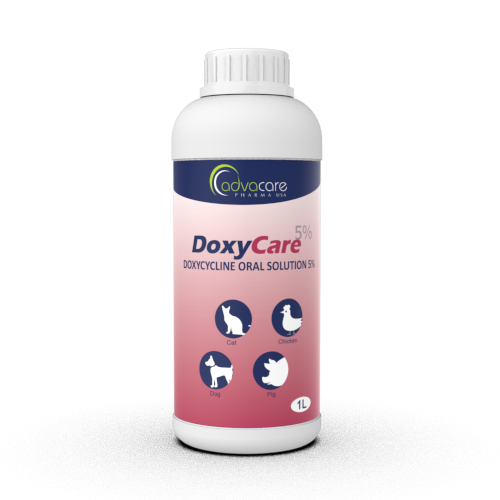 Solución Oral de Doxiciclina (1 botella)